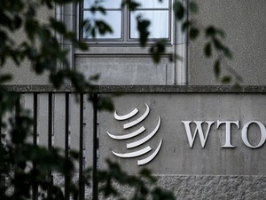 W300