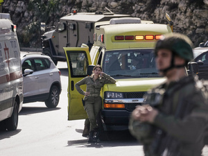 W300